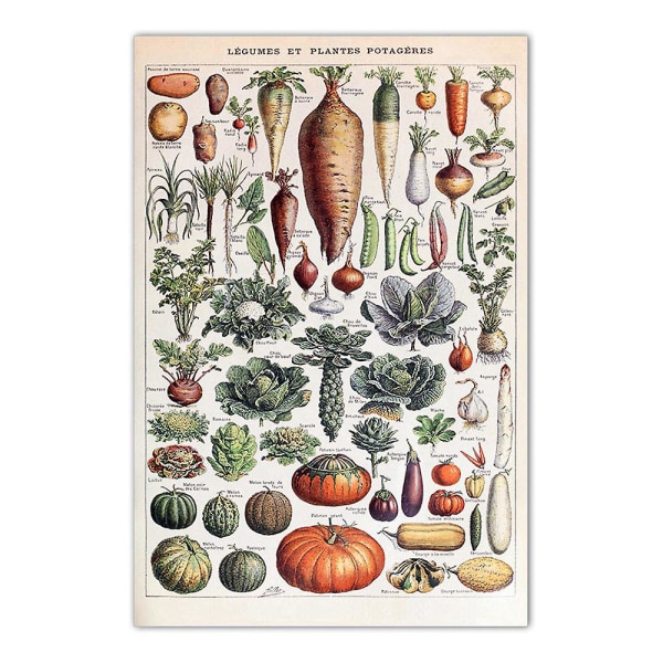 Vintage grøntsags- og grøntsagsplanter plakat - 30x40cm