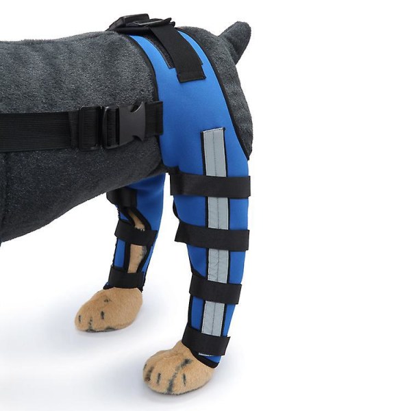 Blå dobbel bakbein for hundeknestøtte for ekstra støtte og leddvarme