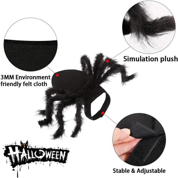 Halloween edderkoppekostume til kæledyr - Størrelse S