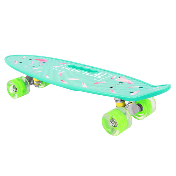 Longboard Small Fish Skateboard Handhållen bräda för ungdomsbarn nybörjare med blinkande