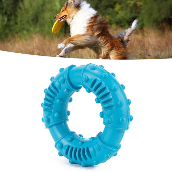 Hund Tuggleksak i Gummi, Ringformad, Tandslipning, Bita-Resistent, Halksäker, Blå