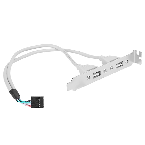 2-Port Bakpanelkabel USB2.0 Datorchassi Förlängning Nätverksadapter C0508