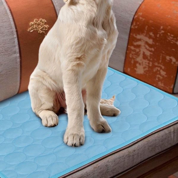 Selvkjølende pute for kjæledyr - Hold hunden og katten komfortabel i varmt sommervær XL