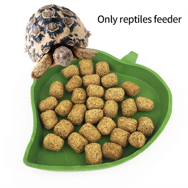 2 st Blad Reptil Mat Skål Tallrik för Sköldpadda Orm Kryp Husdjur Dricka och Äta