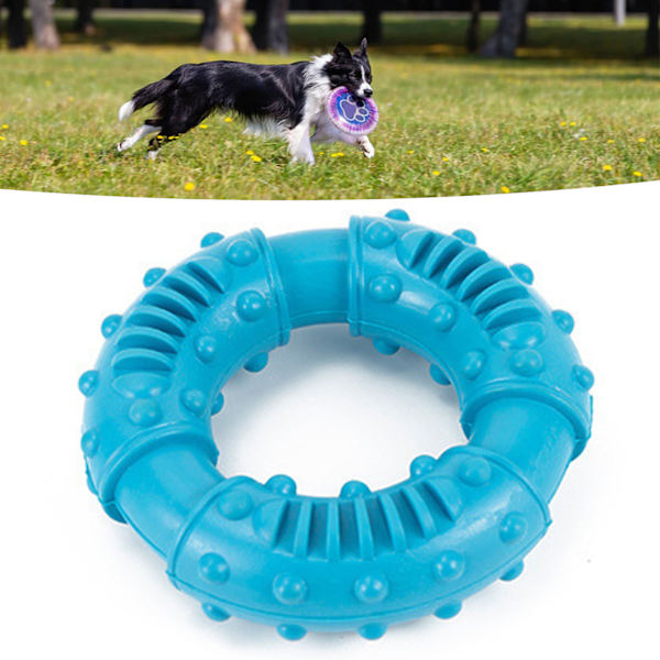 Hund Tuggleksak i Gummi, Ringformad, Tandslipning, Bita-Resistent, Halksäker, Blå