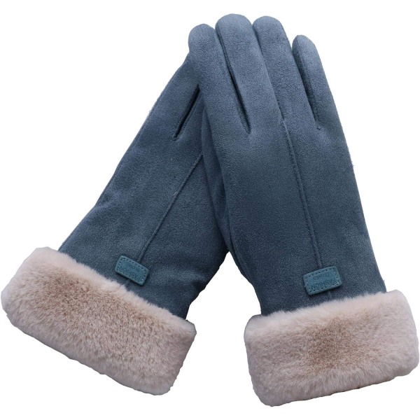 Varme vinterhansker for kvinner Berøringsskjerm semsket skinn tykke votter utendørs hansker for kvinner (blå)