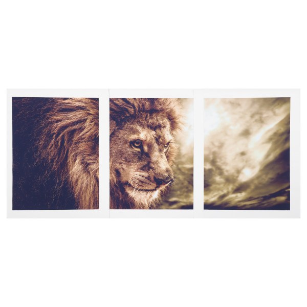 3 kpl kehyksetön maalauskangas Leijona seinätaide Eläintaide Maisemakuvat Kodinsisustus