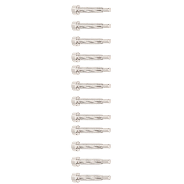 12 kpl Kitaran kaulan kiinnitysruuvit Humbucker Pickup Tarvikkeet Basso Osat Laitteisto Hopea