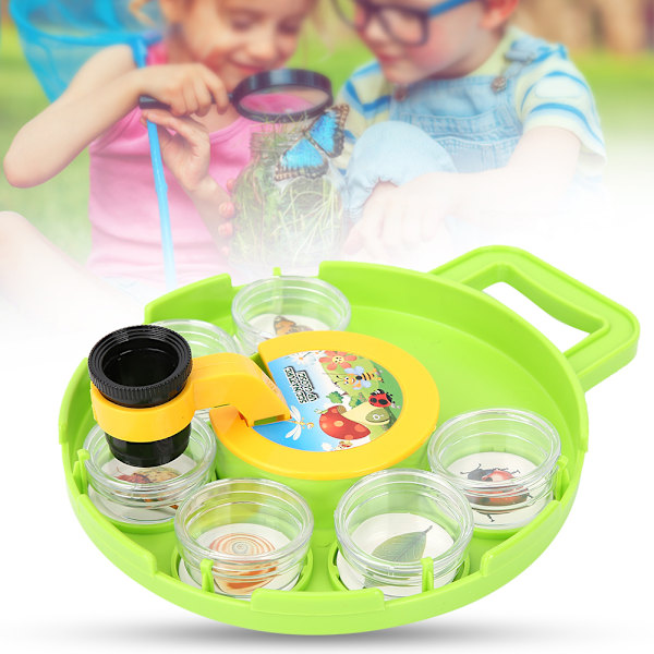 Utomhus Science Insect Capture Observation Magnifier Box Container Viewer
