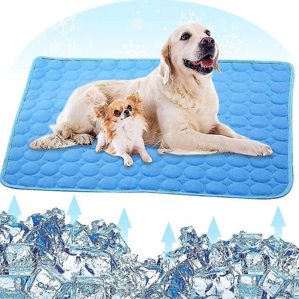 Kylmatta för hundar - Tvättbar issilkesdyna för kennel, soffa, säng - Blå XS 40x30cm