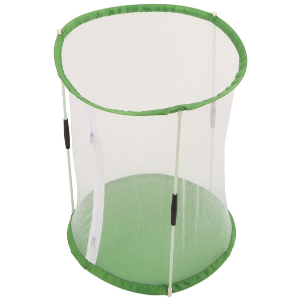 Sylindrisk sommerfugl- og insektsobservasjonsbur Transparent nettinghabitatbur for prydplanter