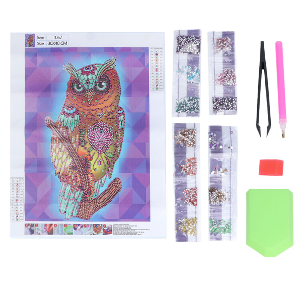 Diamond painting DIY Owl Utsökt vattentät diamond painting Set