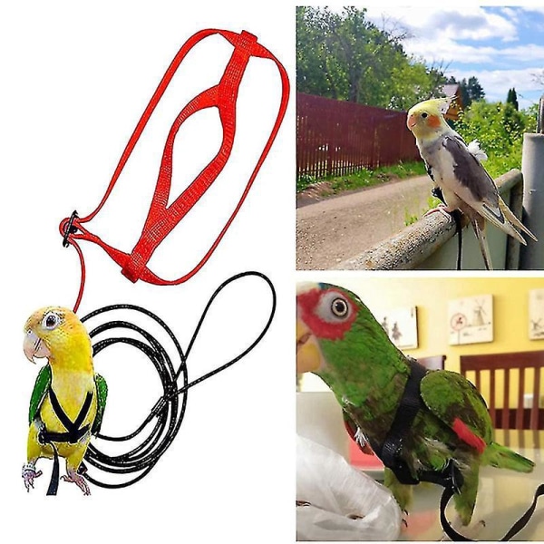 Justerbar papegøyefuglselebånd med søt vinge - S Rød
