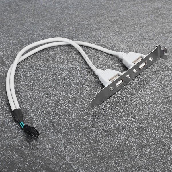 2-Port Bakpanelkabel USB2.0 Datorchassi Förlängning Nätverksadapter C0508
