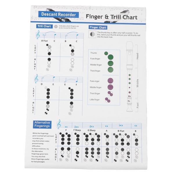 Klarinettakkord fingersetting Chart 8-hulls læringshjelpemiddel Referansemusikkplakat for nybegynnere