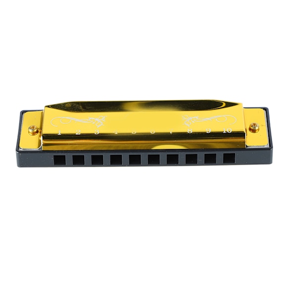 Munspel 10 hål 20 Tune C Key Professional Standard munorgan med case för Kid Nybörjare Guld