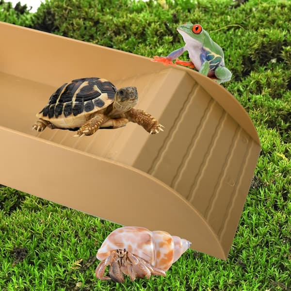 Skildpaddebad med Mangoformet Skål, Landskildpadde Tilbehør, Badekar og Foderautomat til Terrarium