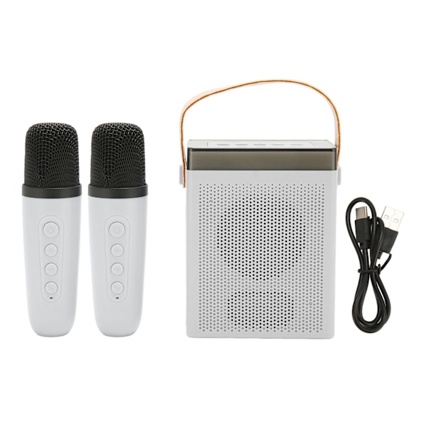 Karaoke-laite monitoiminen RGB-valaistus Kannettava Bluetooth-kaiutin 2 langattomalla mikrofonilla aikuisille ja lapsille Valkoinen