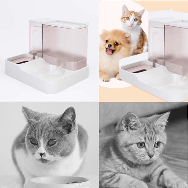 Pet Vandmad Dispenser 2 i 1 Stor Kapacitet Transparent Vindue Automatisk Pet Feeder til Hund Kat Pink