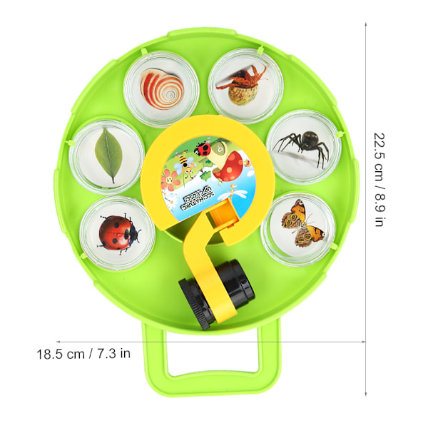 Utomhus Science Insect Capture Observation Magnifier Box Container Viewer