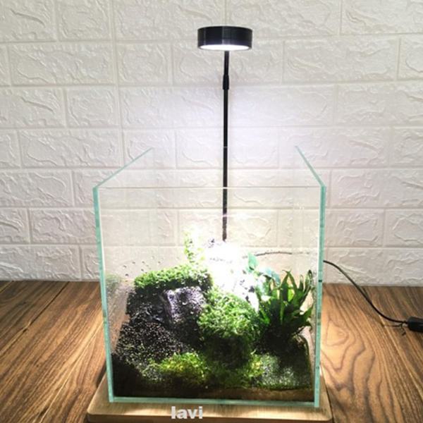 LED Akvarielys Energibesparende 3 Farveskiftende Fiskekum Lampe med Bræt til Akvarielandsskab S Valnød