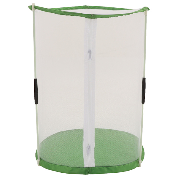 Sylindrisk sommerfugl- og insektsobservasjonsbur Transparent nettinghabitatbur for prydplanter