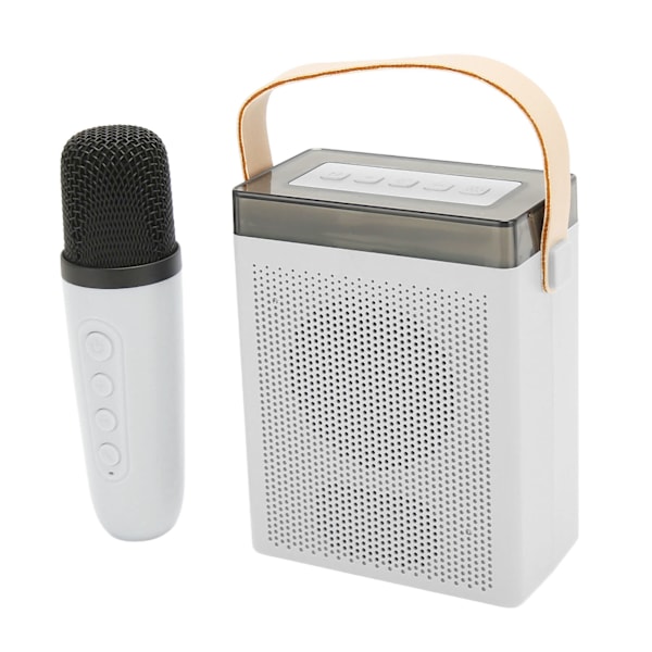 Karaoke-laite monitoiminen RGB-valaistus Kannettava Bluetooth-kaiutin 2 langattomalla mikrofonilla aikuisille ja lapsille Valkoinen