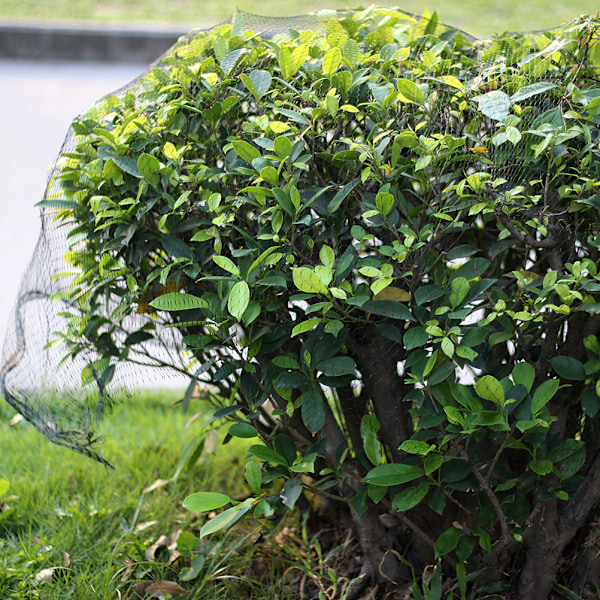 Fuglenett for hageplanter, netting for hageplanter, grønnsaker og frukt