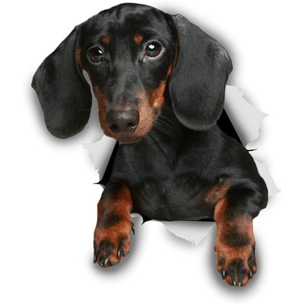 Söt Dachshund Dog Wall Sticker (Twisted Version) - Hundtoalettdekal - 3D Dog Window and Bumper Sticker - Retail Packaging Tax Lover Gift