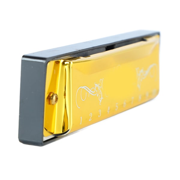 Munspel 10 hål 20 Tune C Key Professional Standard munorgan med case för Kid Nybörjare Guld