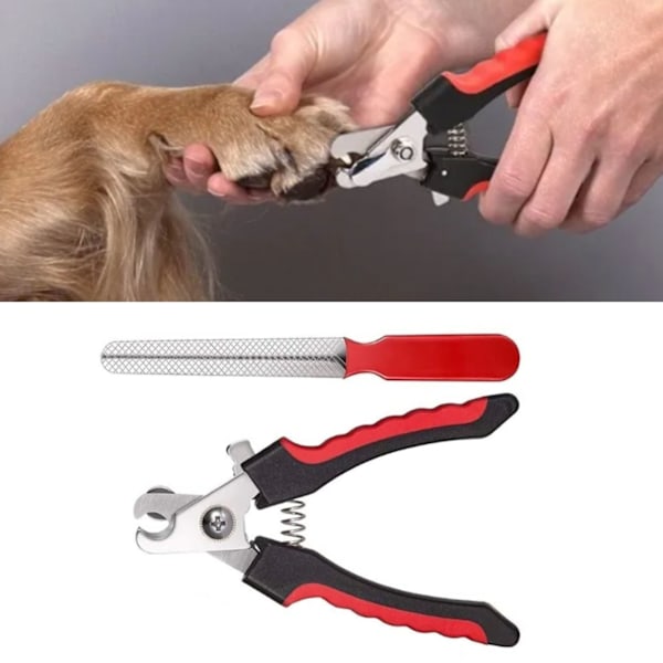 Hundeklosax i Rostfritt Stål, Pedikyr, Skönhets- och Groomingverktyg, Klosax för Hundar, Katter och Husdjur med Nagelfil