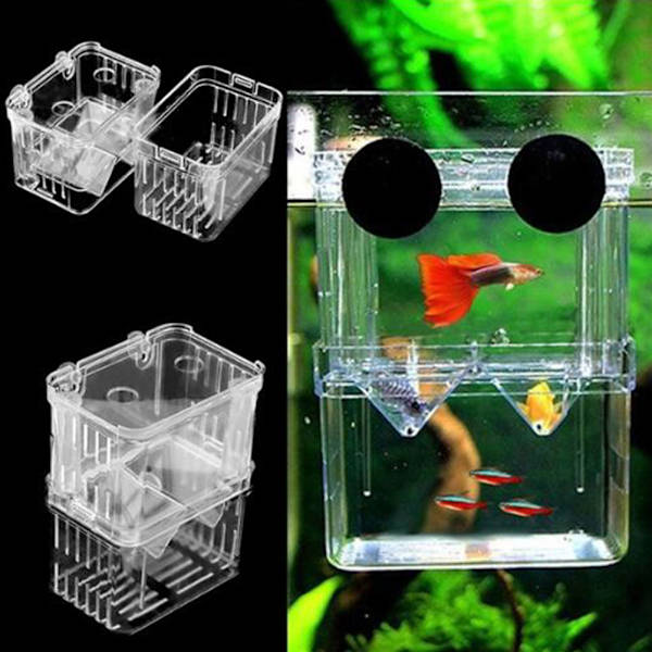 Akryl fiskavel akvarium dubbla lager hängande yngel baby fisk kläckeri inkubator nät fiskavel isoleringslåda
