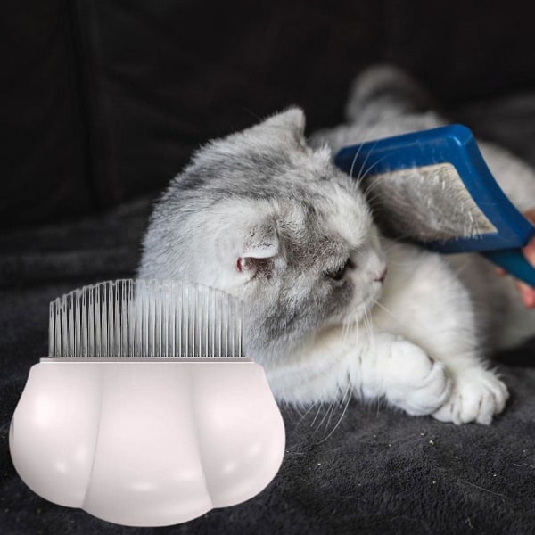 Lemmikkieläinten hiusharja – vaaleanpunainen kissan hoitokampa asioiden selvittämiseen ja hierontaan