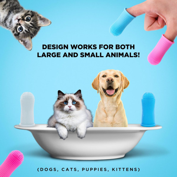 Rengöring av husdjurstandborste förser katt- och hundsängar för oral rengöring av tandborstar