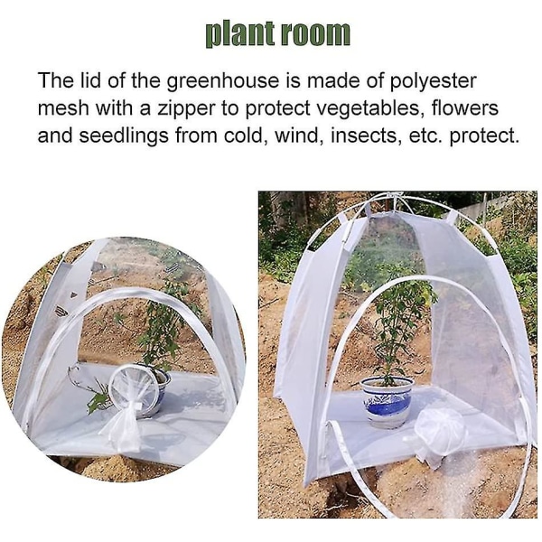 Lyxig-mini plast trädgårdsväxthus, växttält pålbart insektsskydd, litet inomhus utomhus cover 22 * ​​22 * ​​28 tum (vit)