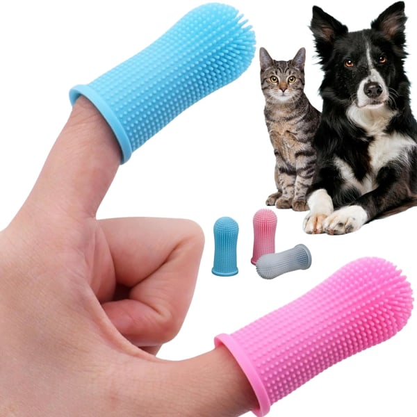 Rengöring av husdjurstandborste förser katt- och hundsängar för oral rengöring av tandborstar
