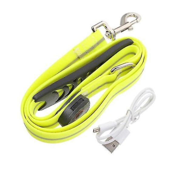 Led Night Dog Leash Dog Night Walking Leash Luminous Dog Leash Pet Supply