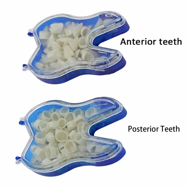 Tillfälliga tandproteser ockkluderar övre proteser Fanerproteser