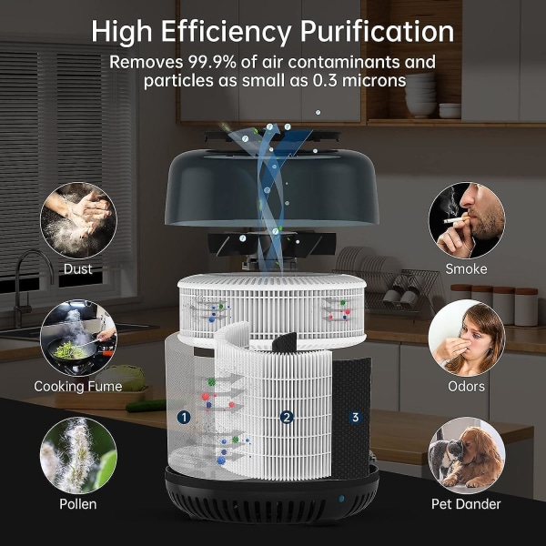 Air purifier and sale ionizer