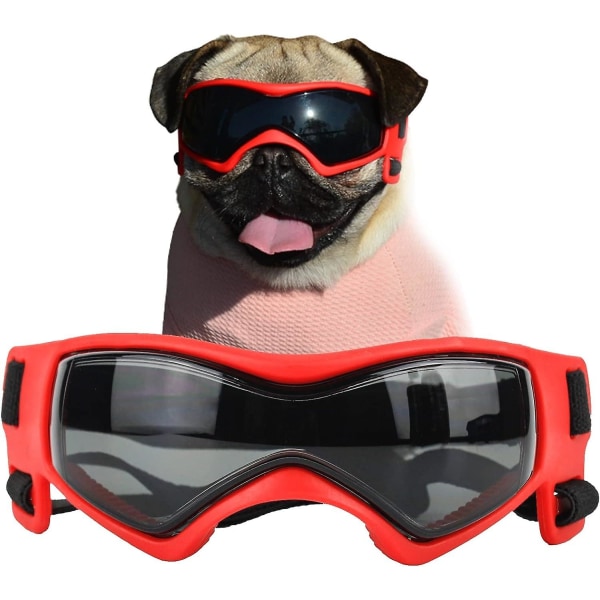 Hundglasögon för småraser Hundsolglasögon Hund UV-solglasögon Vindtät mjuk ram Justerbara remmar för små/medelstora hundvalpar (röda)