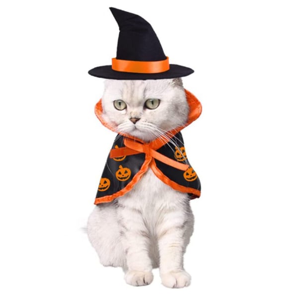 Halloween jul husdjur dekoration pumpa mantel katt kostym