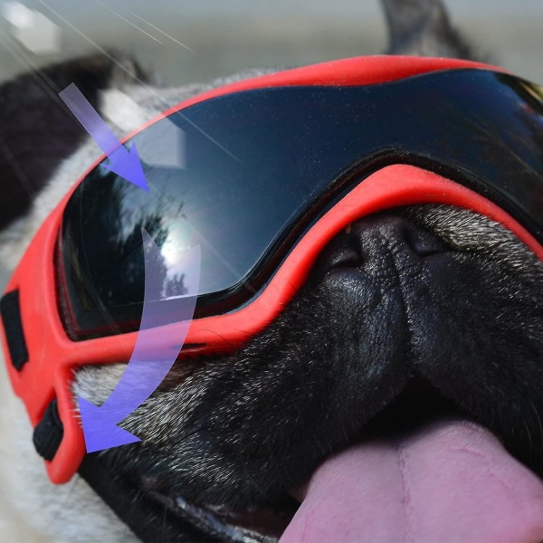 Hundglasögon för småraser Hundsolglasögon Hund UV-solglasögon Vindtät mjuk ram Justerbara remmar för små/medelstora hundvalpar (röda)