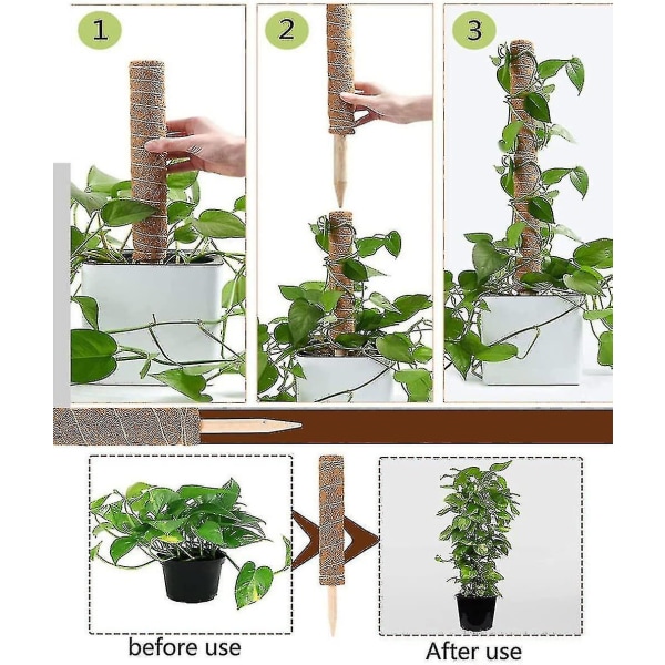 Bitar Plant Stake, Coir Stake, Coir Stake, Coir Stake För Hemträdgård Plant Klätterare Plant Support Extension