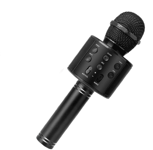 Karaoke Mikrofon med Högtalare och Bluetooth Guld