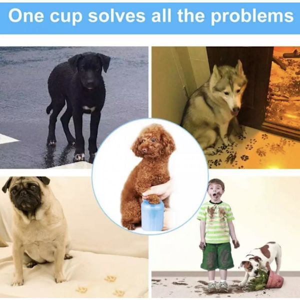 Tasstvätt För Hund