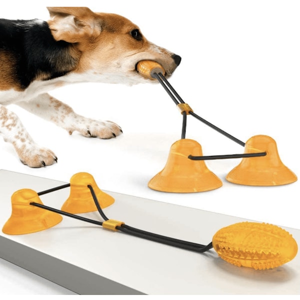 Hundleksak dragkamp Orange