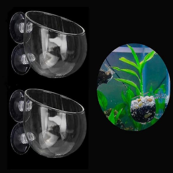 2 st Glas Växtkruka Rium Planter Röda Räkor Växter Tank Glas H