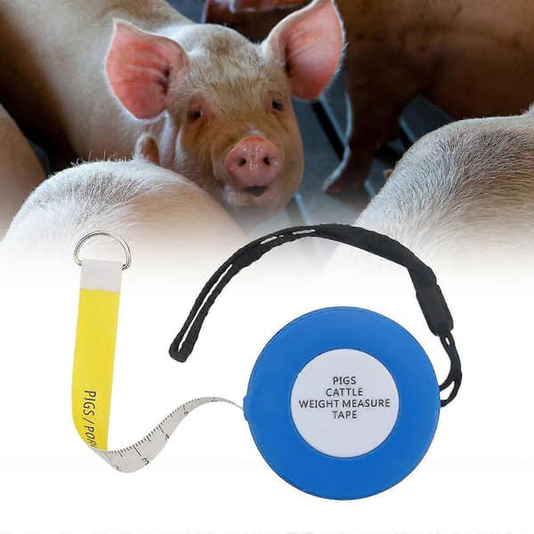 Måttband för grisar, viktmätning, boskap, för kroppsmätningar, utrustning