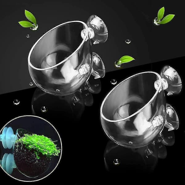2 st Glas Växtkruka Rium Planter Röda Räkor Växter Tank Glas H