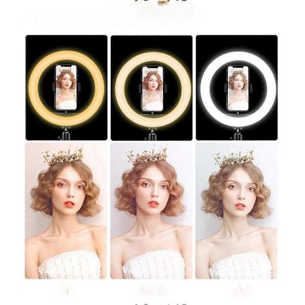26CM RGB LED Ring Light Cirkel Lys Til Live Broadcast Makeup Studio LED Fyldlys